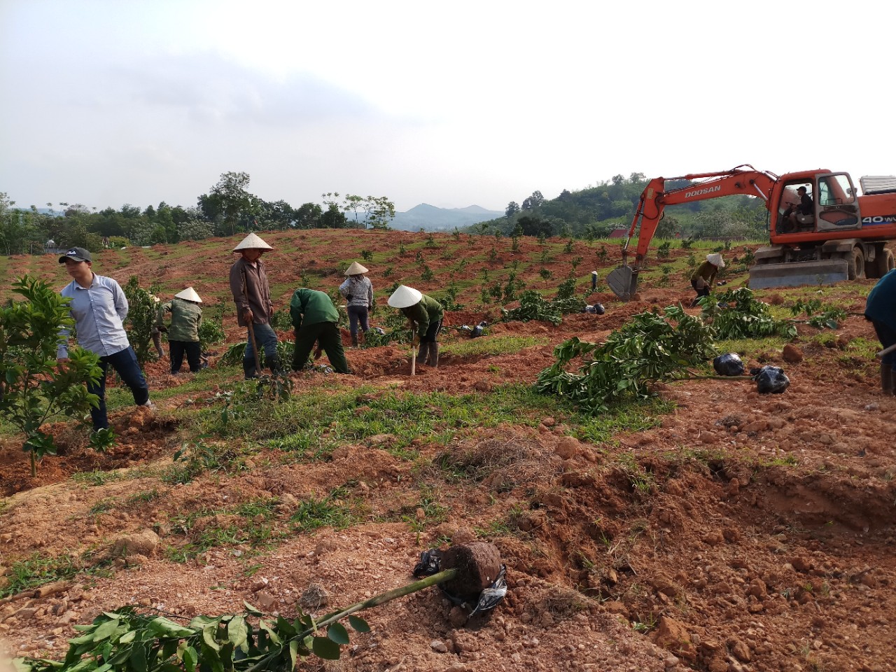 dự án anh sơn