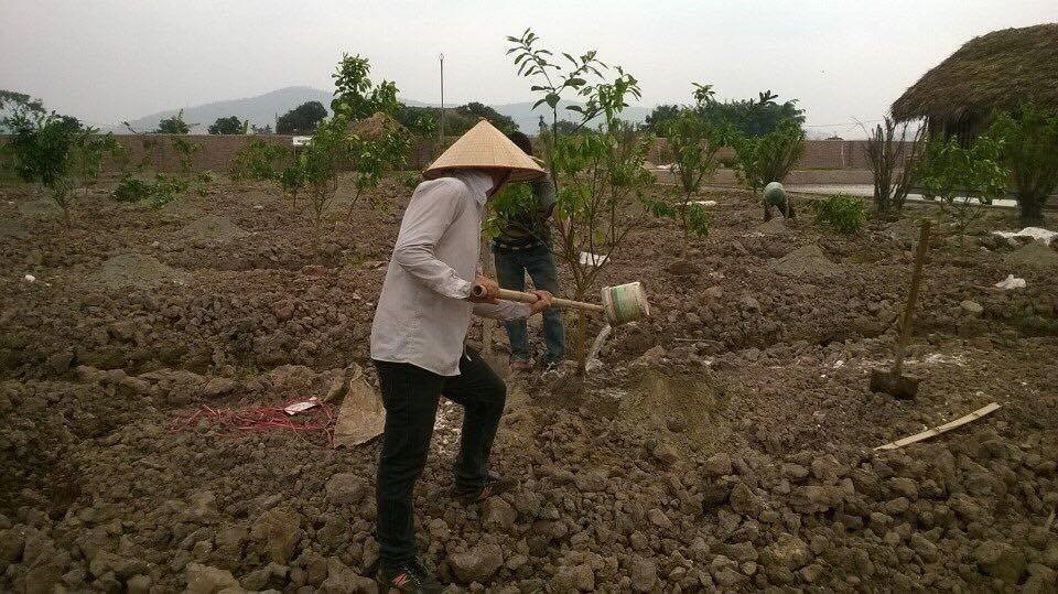 dự án quảng ninh