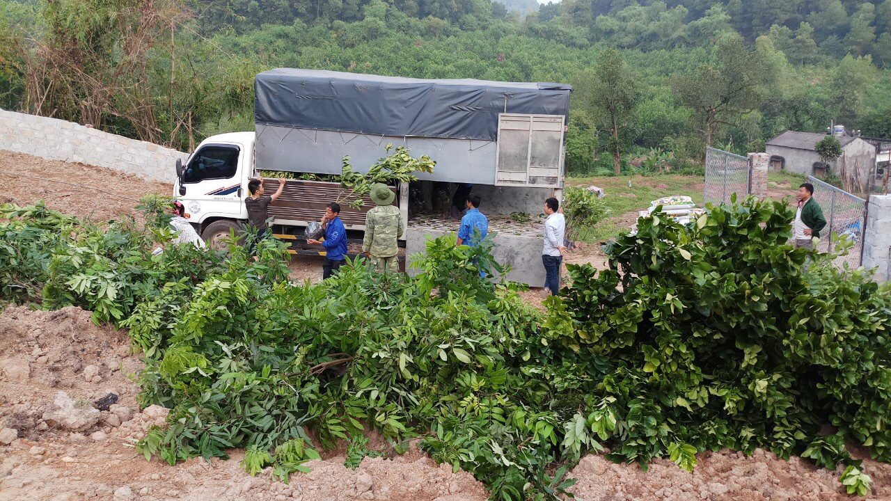 8 cách chăm sóc cây cảnh vào mùa hè