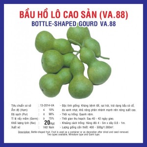 Hạt giống bầu hồ lô cao sản